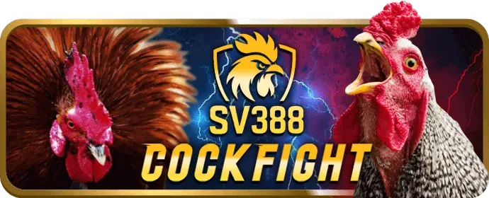 Hỗ trợ đối tác 24/7